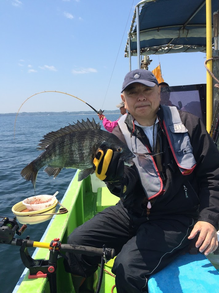 金田湾で釣ったクロダイ